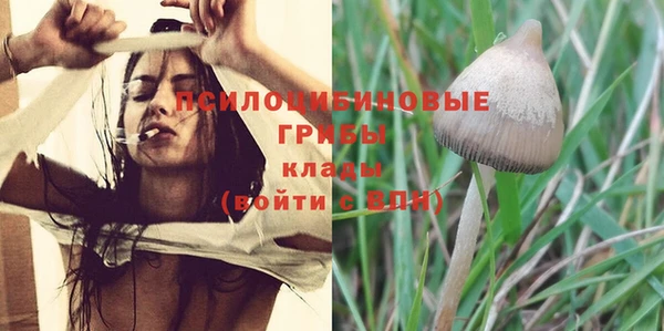 ПСИЛОЦИБИНОВЫЕ ГРИБЫ Балабаново