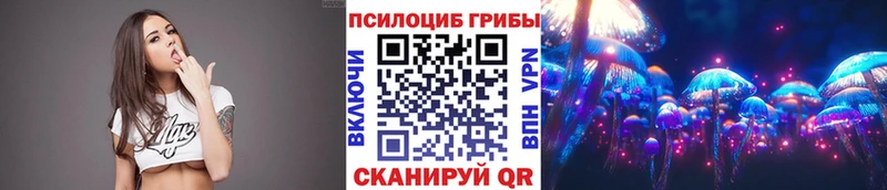 Псилоцибиновые грибы мухоморы где купить наркотик Гремячинск